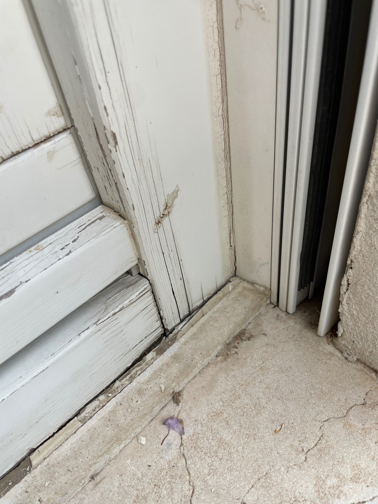 פרט של נזק בעץ — סדקים וריקבון במסגרת חלון