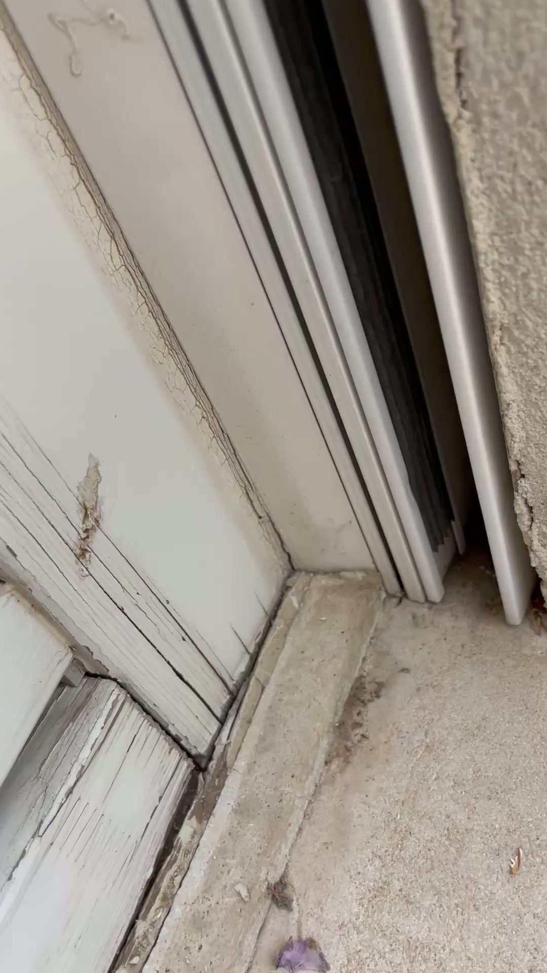 עבודת חידוש חלונות בווילה בסביון